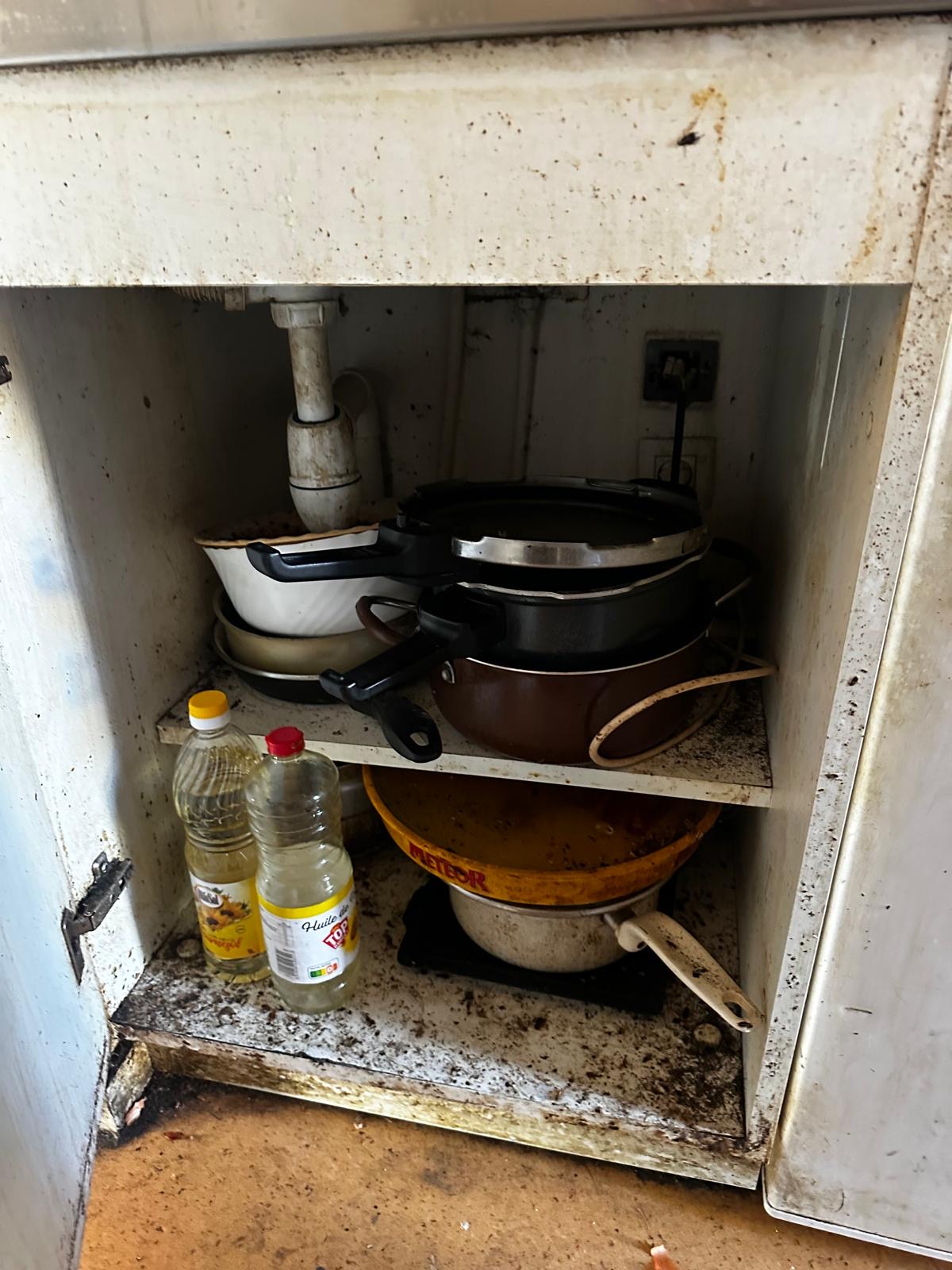 Placard de cuisine infesté