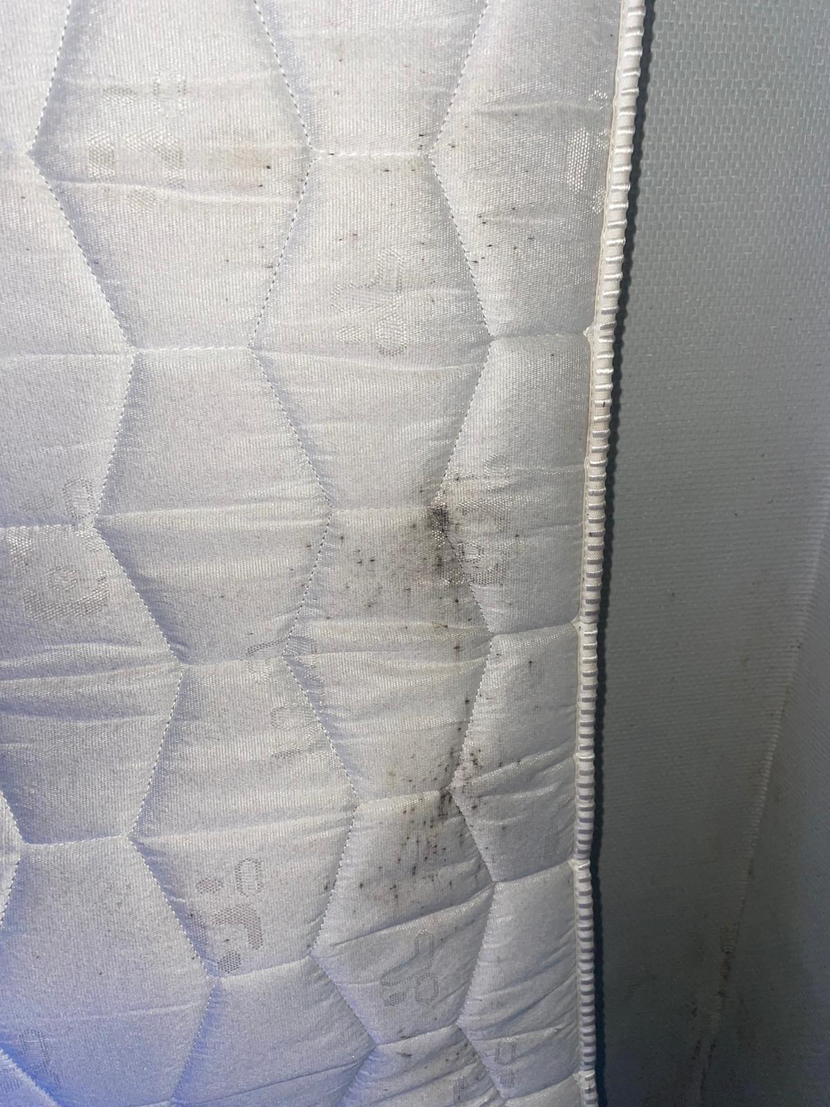 Matelas présentant des traces caractéristiques de punaises de lit