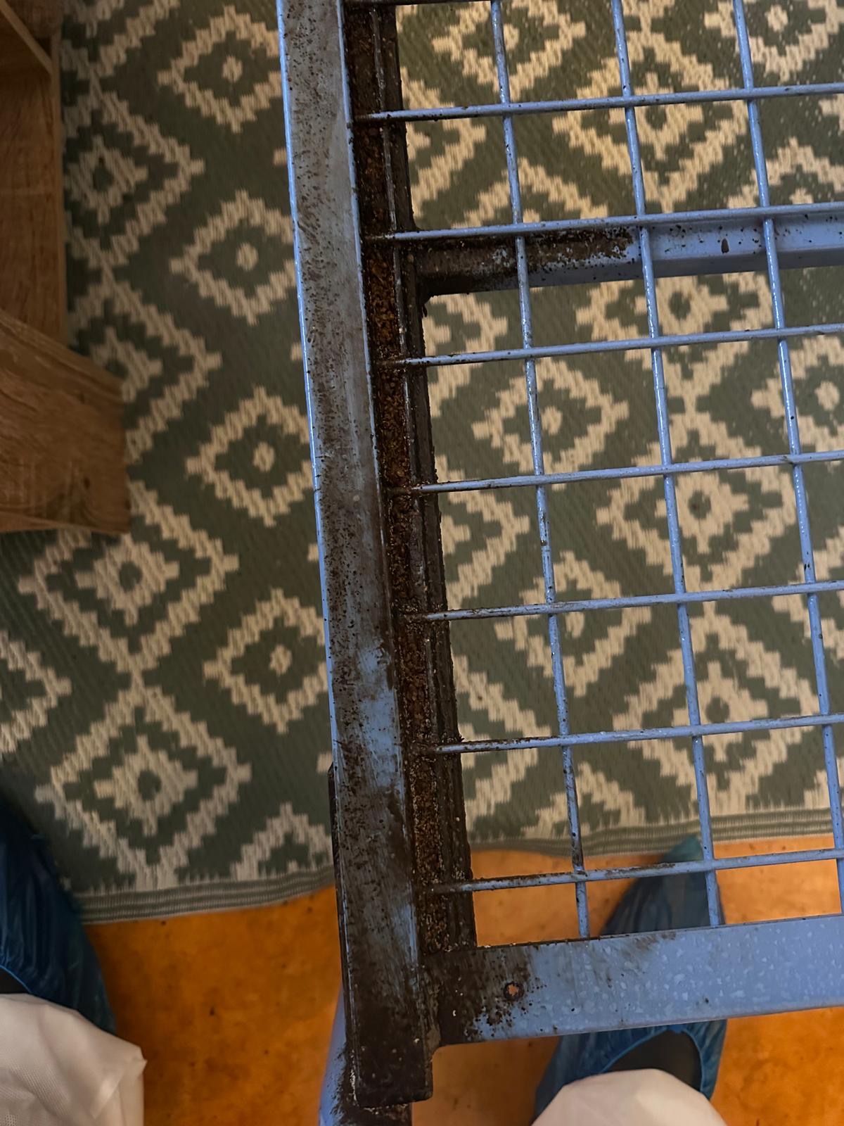 Sommier de lit infesté de punaises